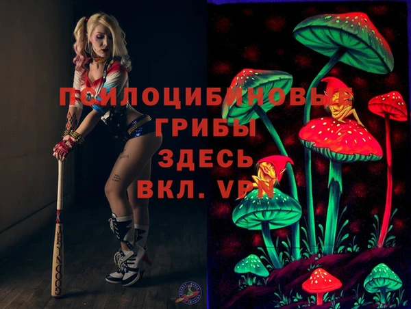 spice Армянск