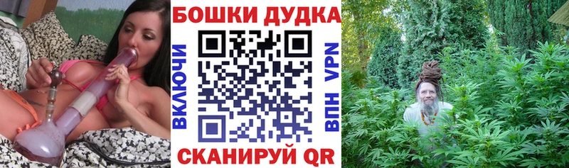 Бошки Шишки ГИДРОПОН Серов